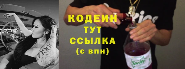 2c-b Ельня