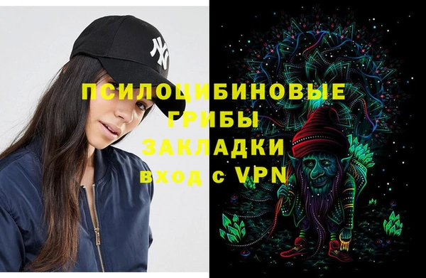 винт Дмитриев