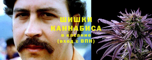 2c-b Ельня
