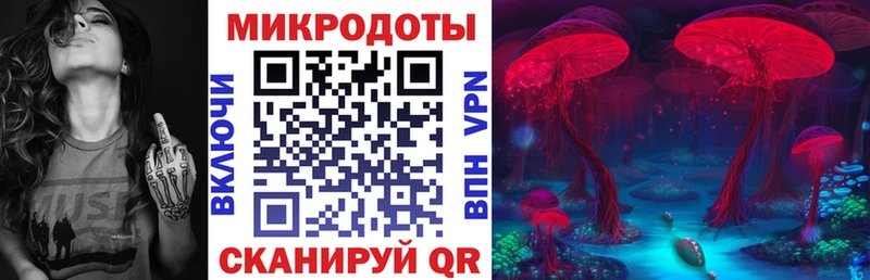 Псилоцибиновые грибы GOLDEN TEACHER  Купить закладки  Грязовец 