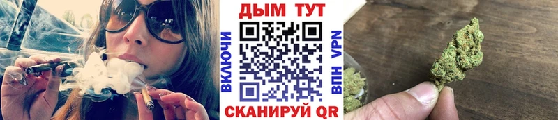 Шишки марихуана план  Купить закладки  Грязовец 